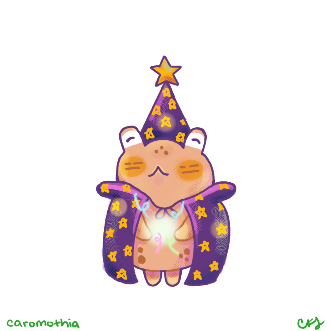 Wizard Toad